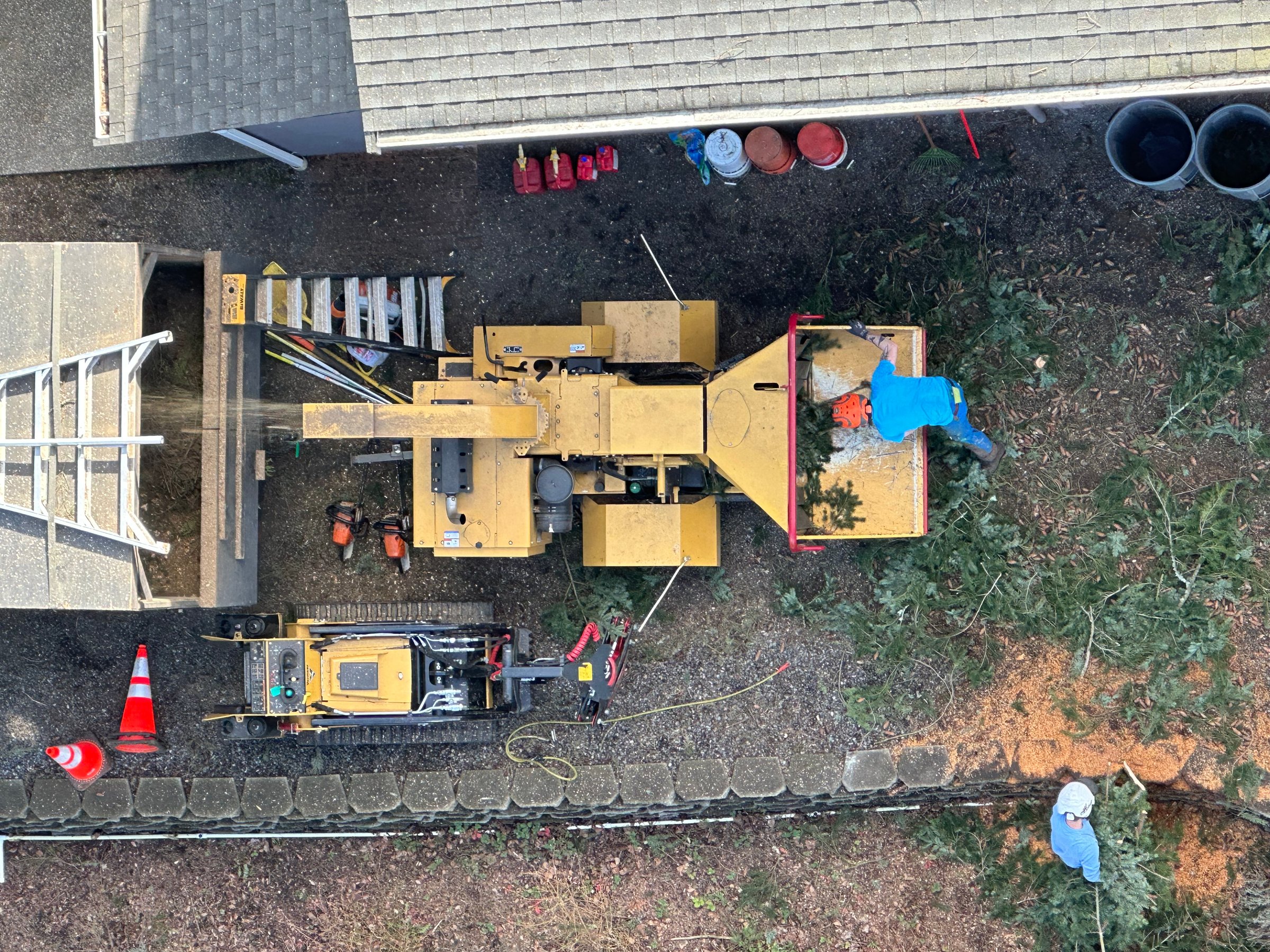 K&J Tree Works tree service in Edmonds, WA