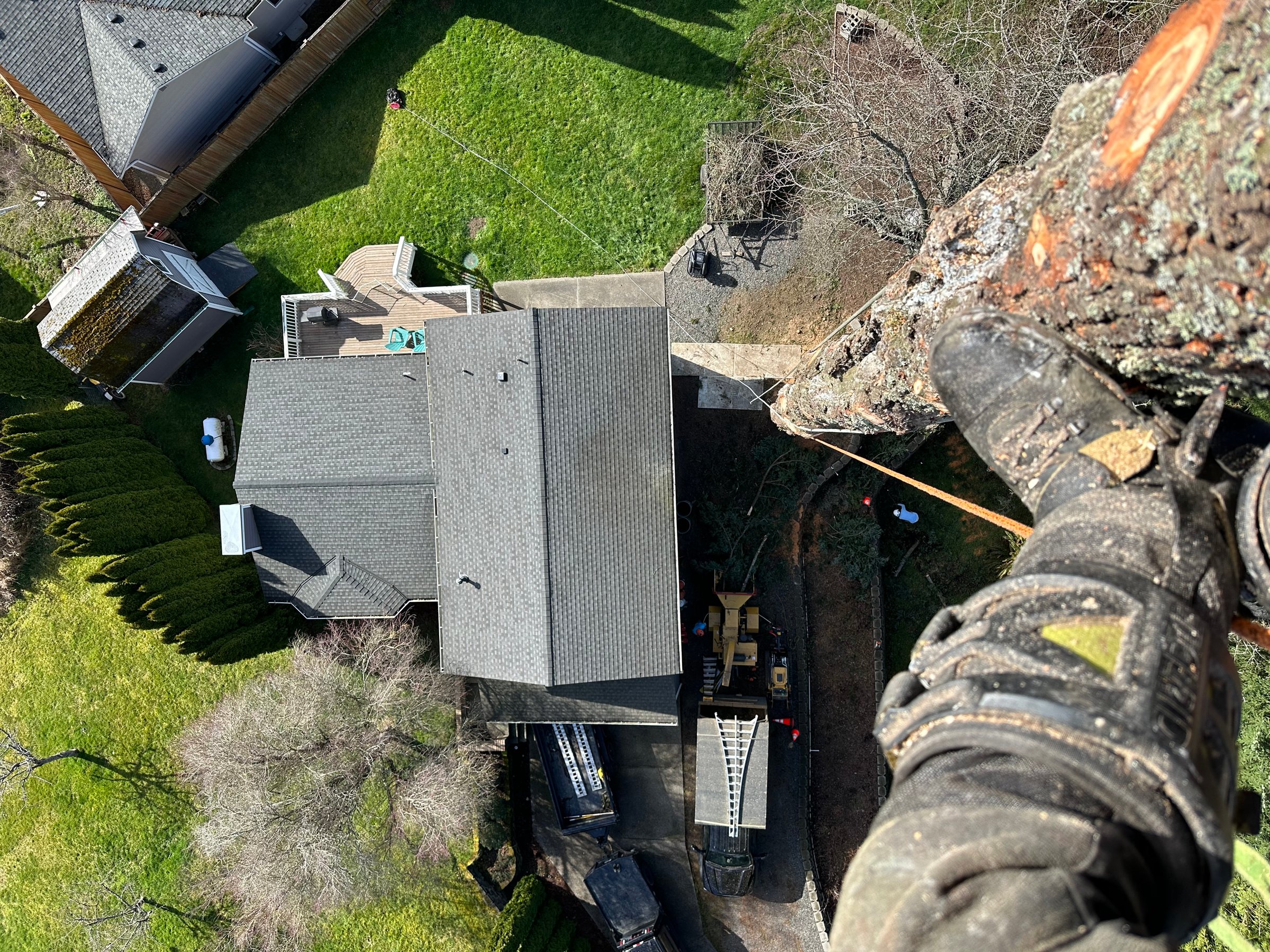 K&J Tree Works tree service in Redmond, WA