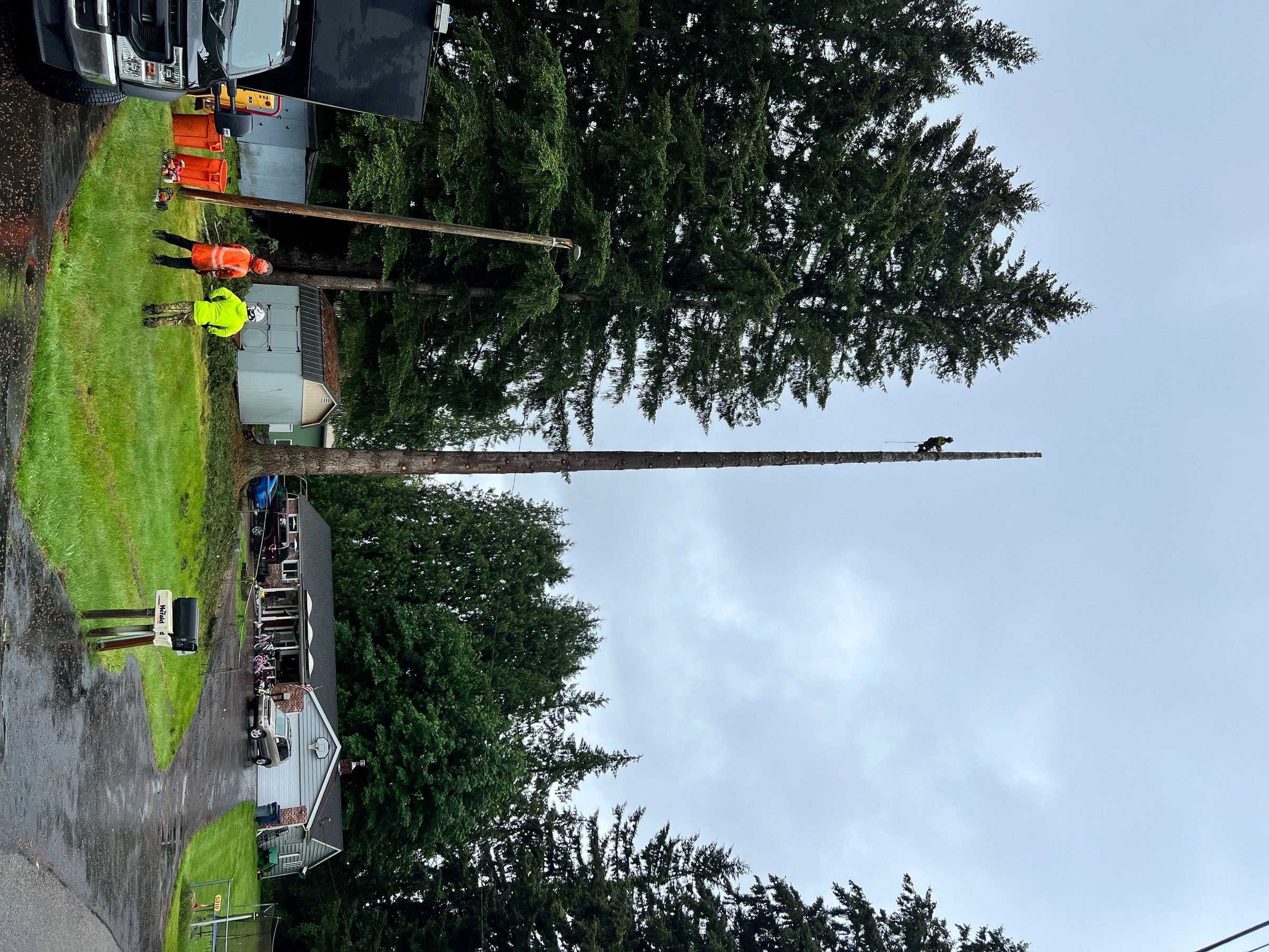 Tree Work in Index: Challenges of the Mountain Valley Setting - Tree service in Index, WA