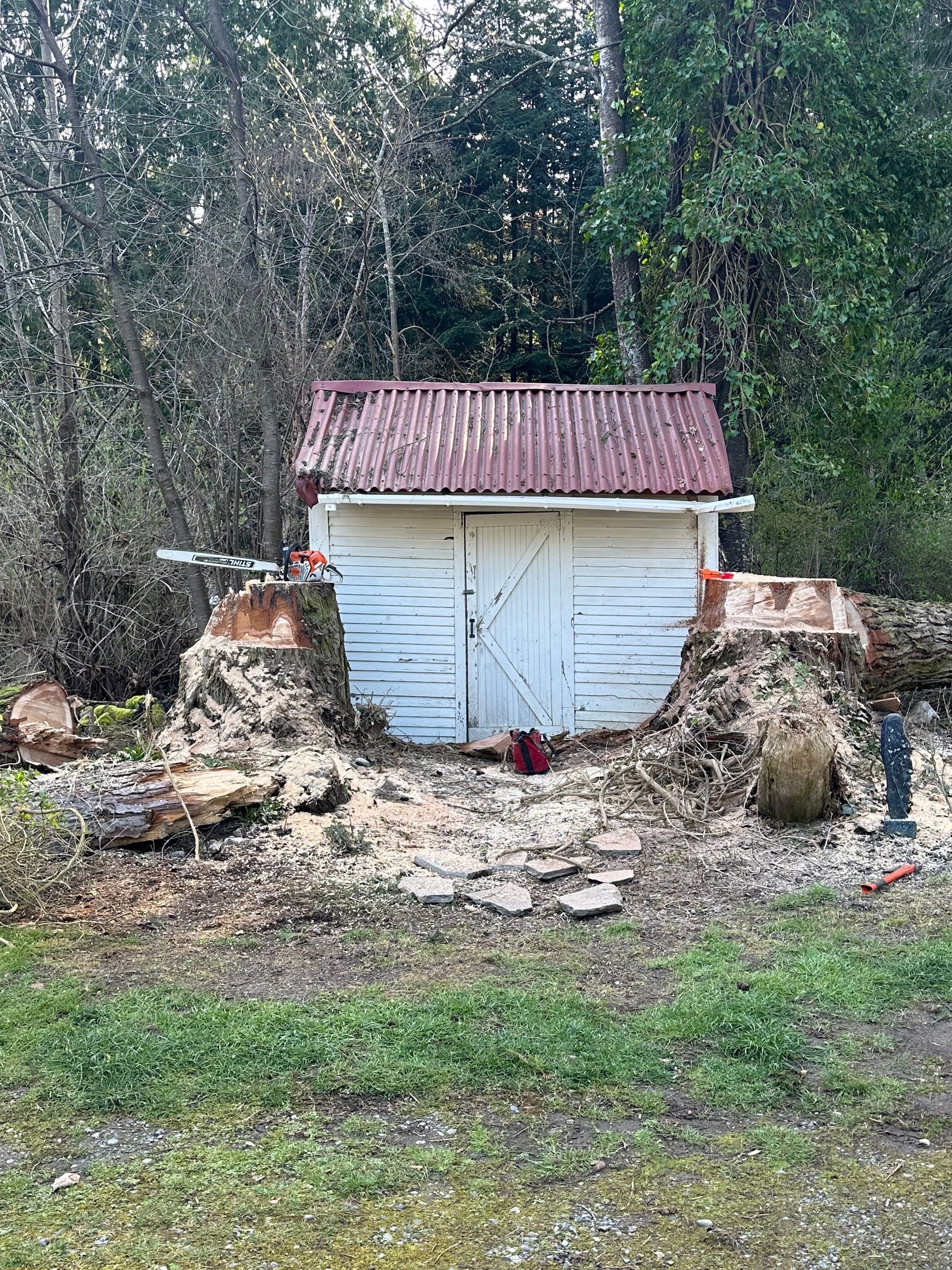 K&J Tree Works tree service in Monroe, WA