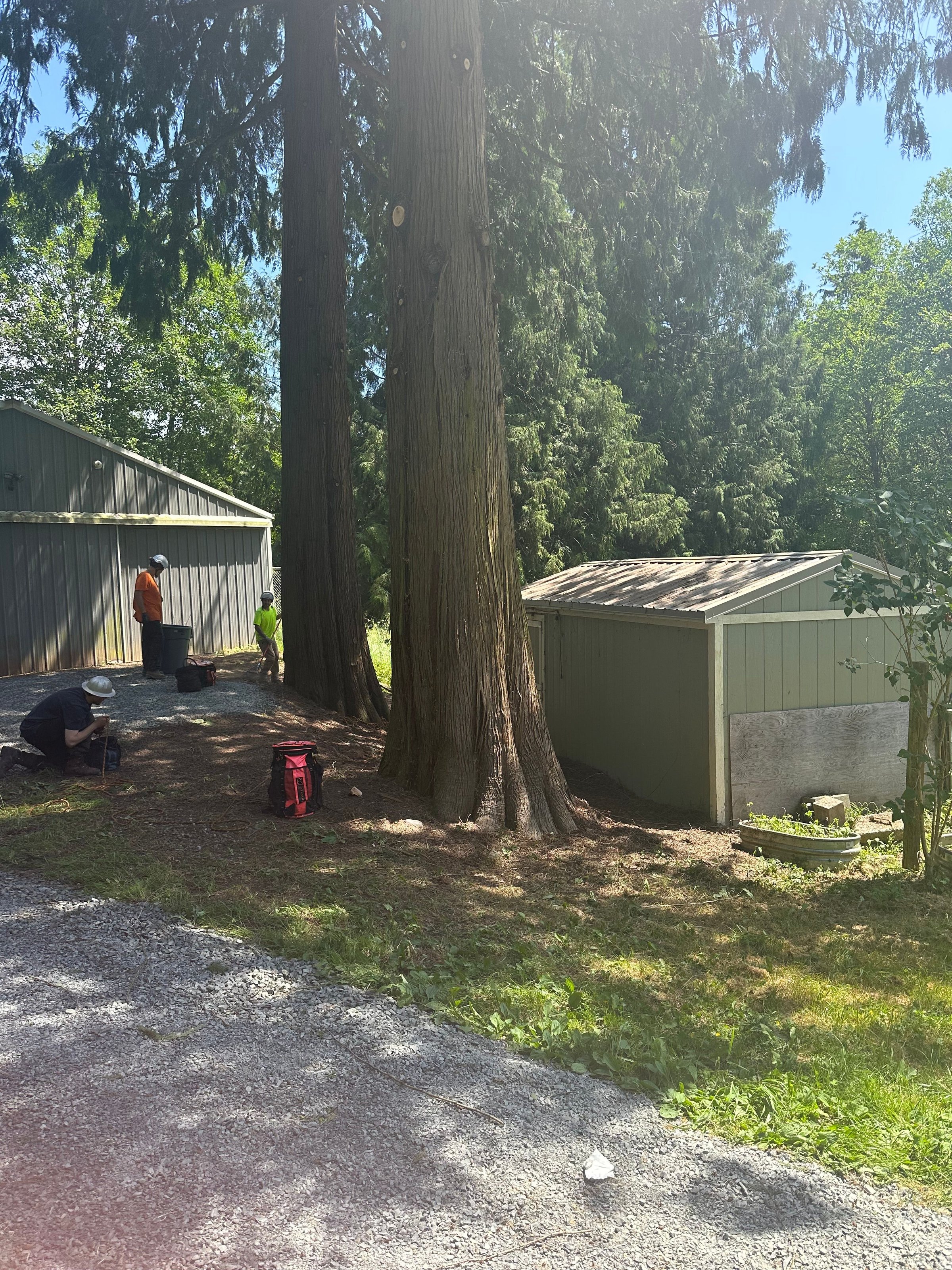 K&J Tree Works tree service in Bothell, WA