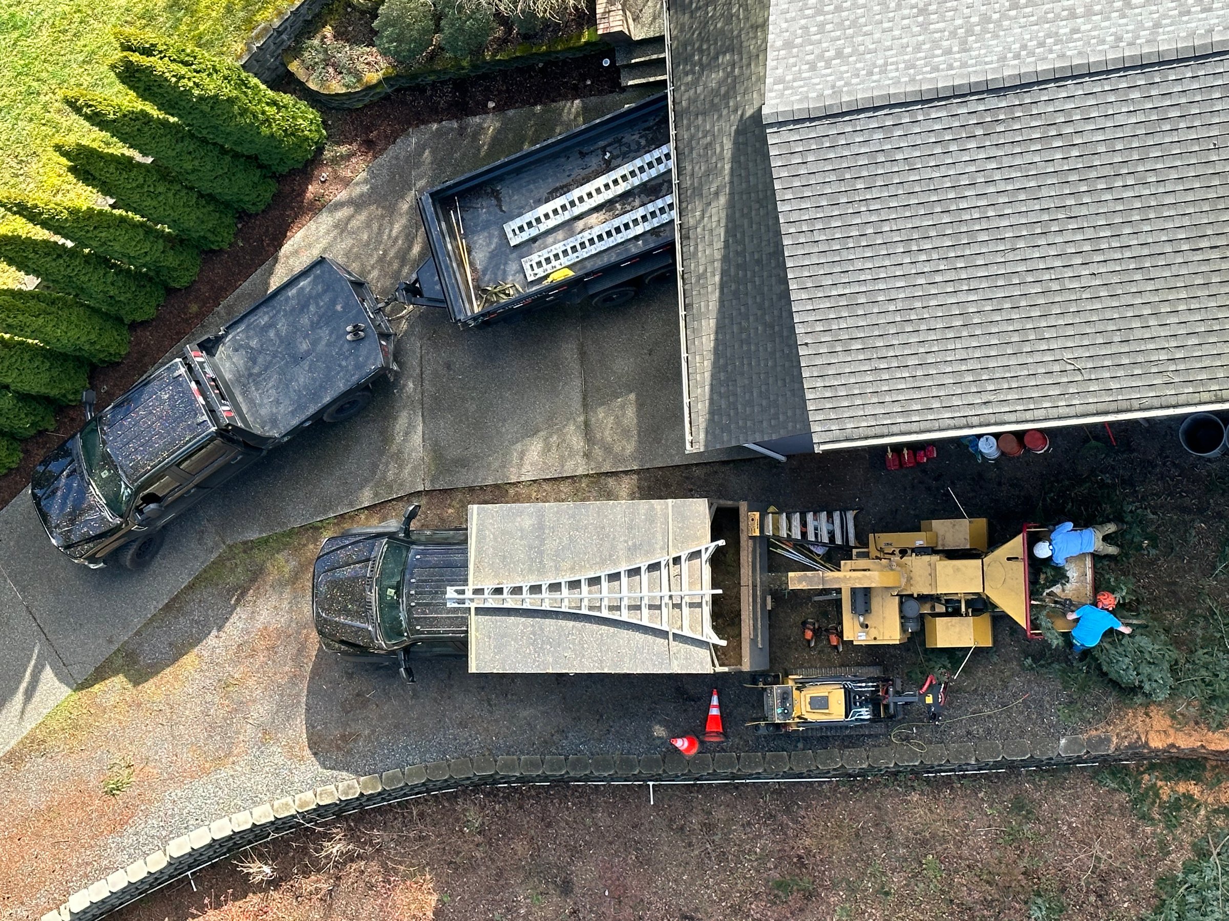 K&J Tree Works tree service in Mill Creek, WA