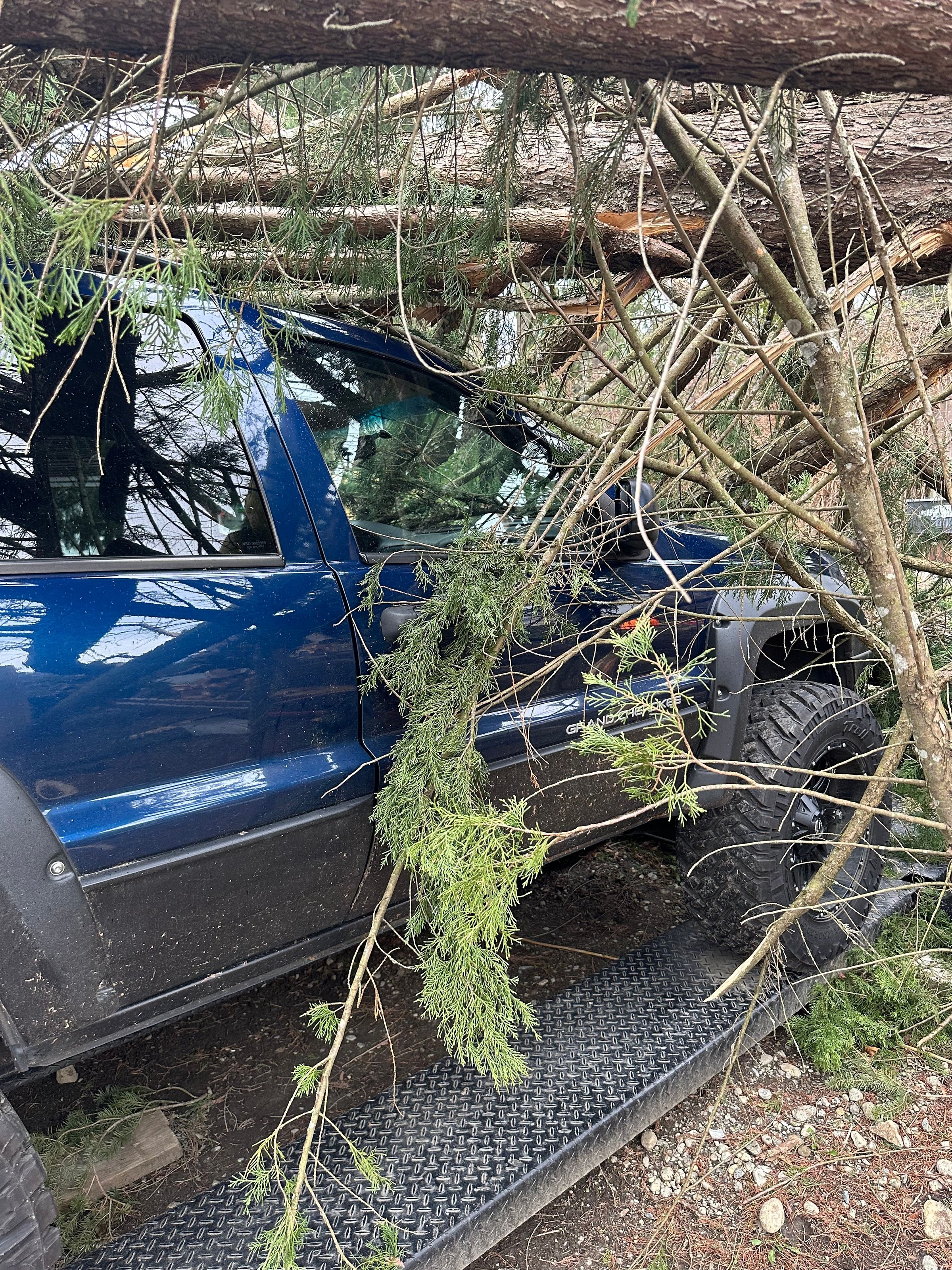 K&J Tree Works tree service in Duvall, WA