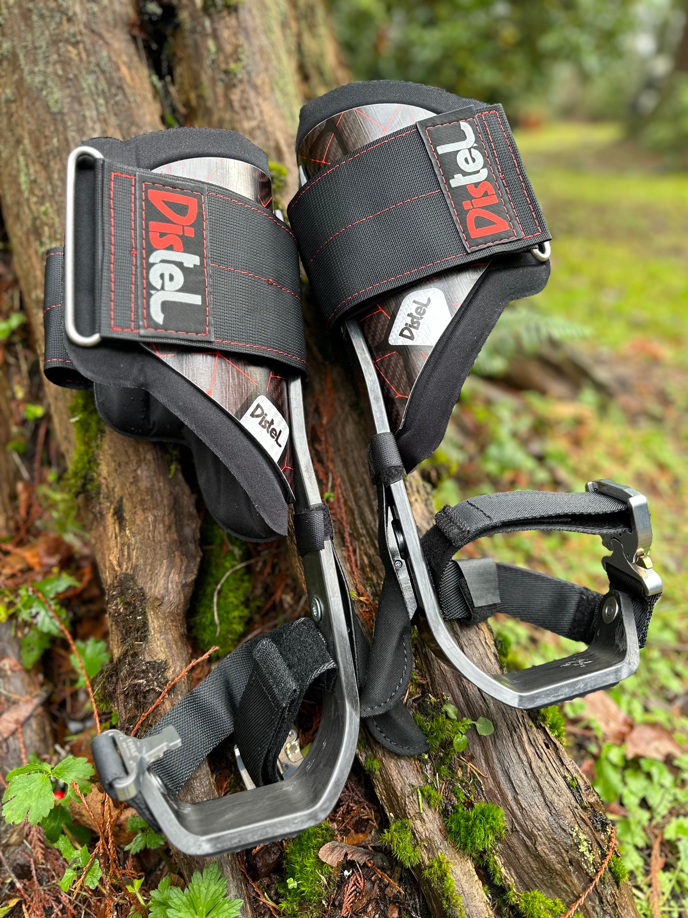 K&J Tree Works tree service in Edmonds, WA