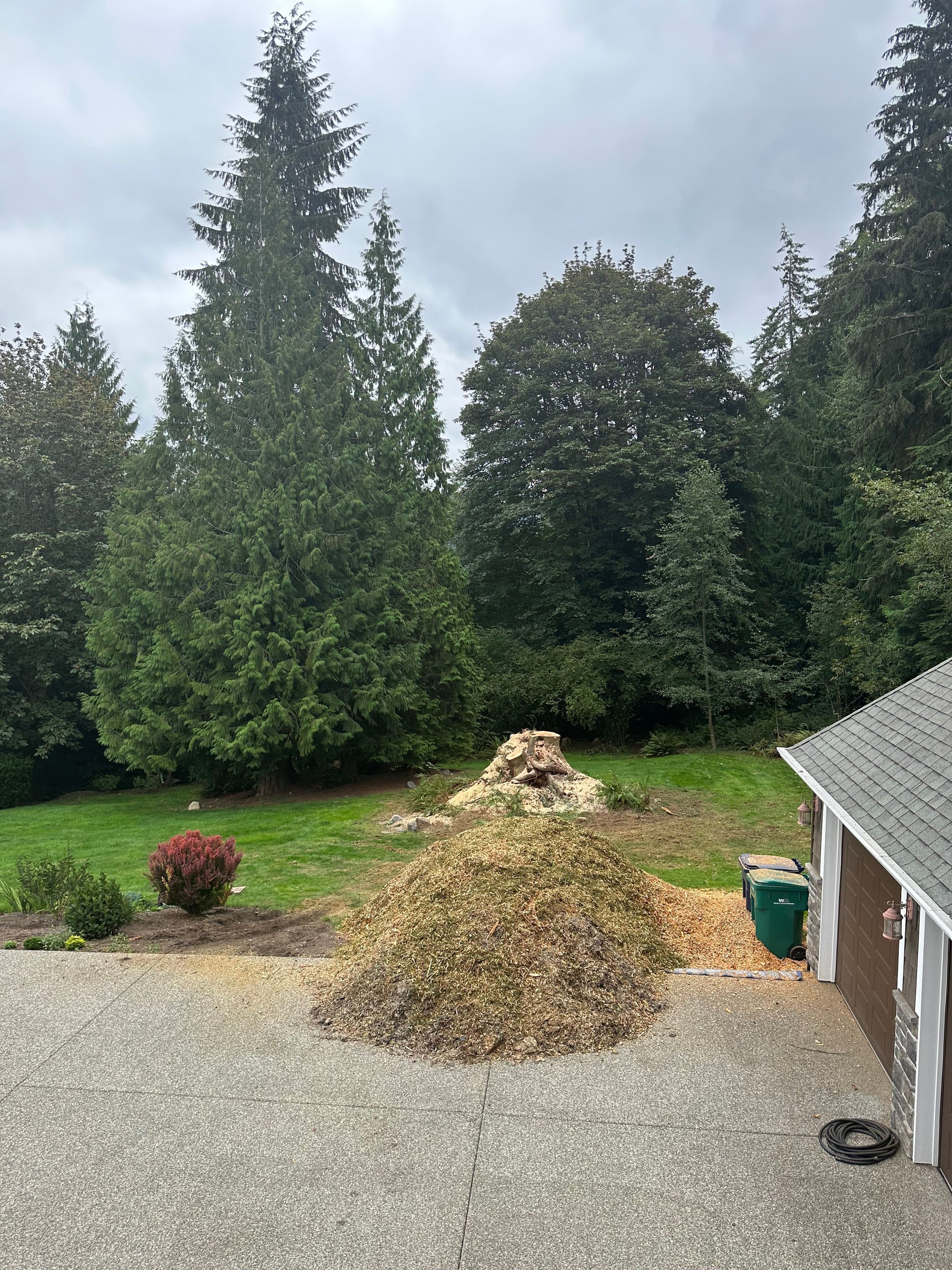 K&J Tree Works tree service in Kenmore, WA