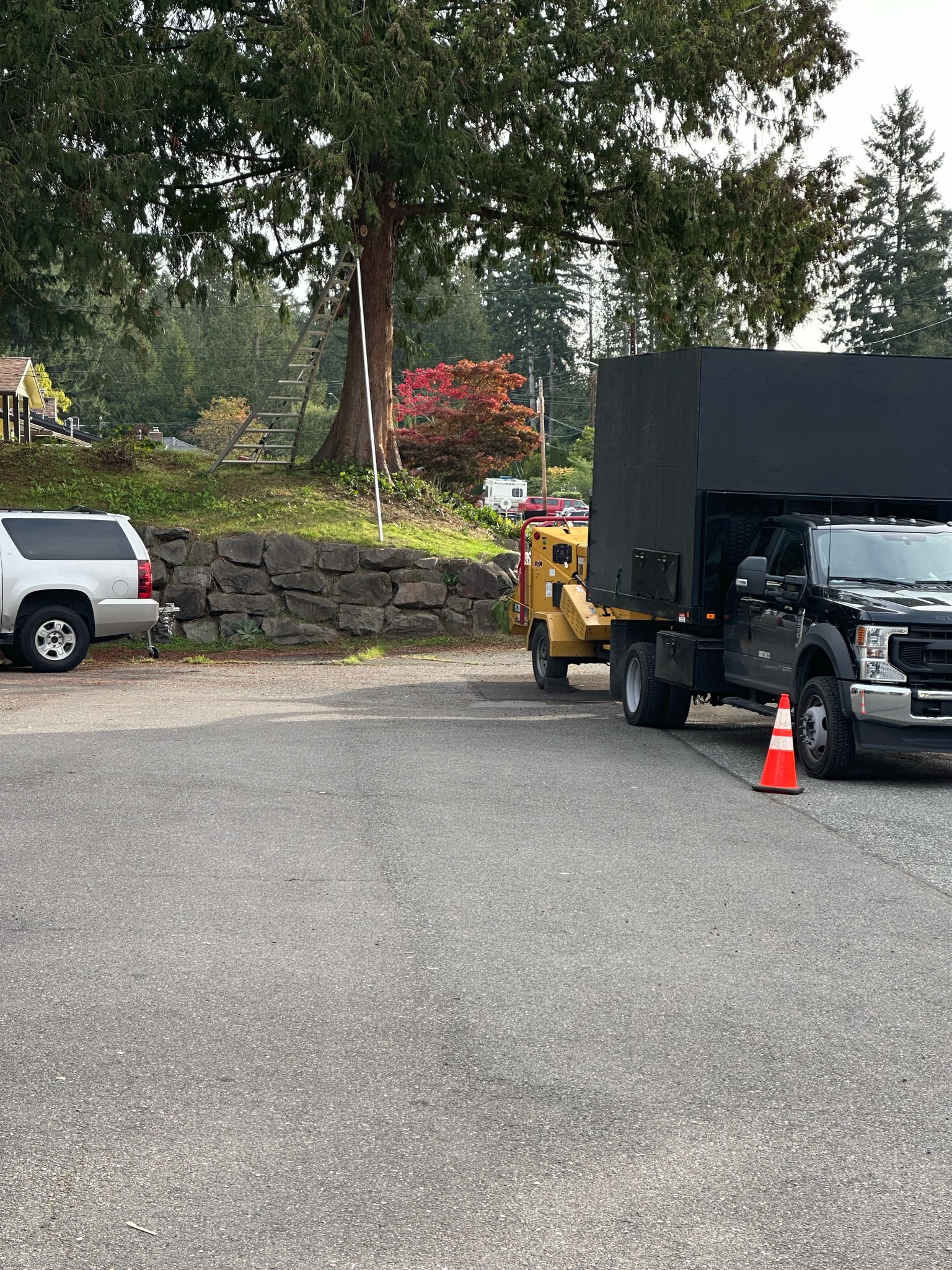 K&J Tree Works tree service in Lynnwood, WA