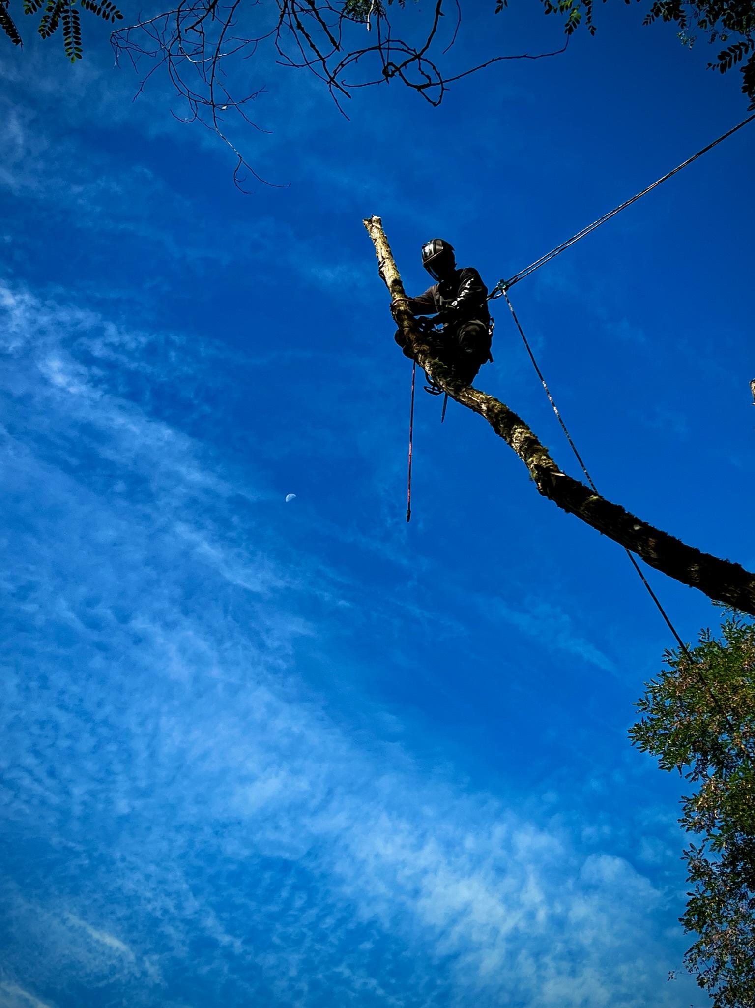 K&J Tree Works tree service in Index, WA