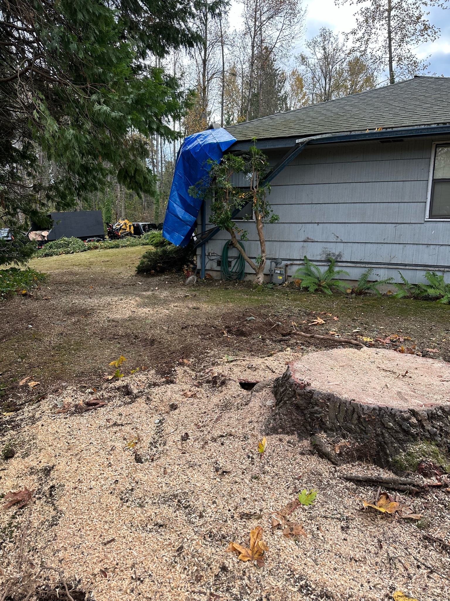 K&J Tree Works tree service in Redmond, WA