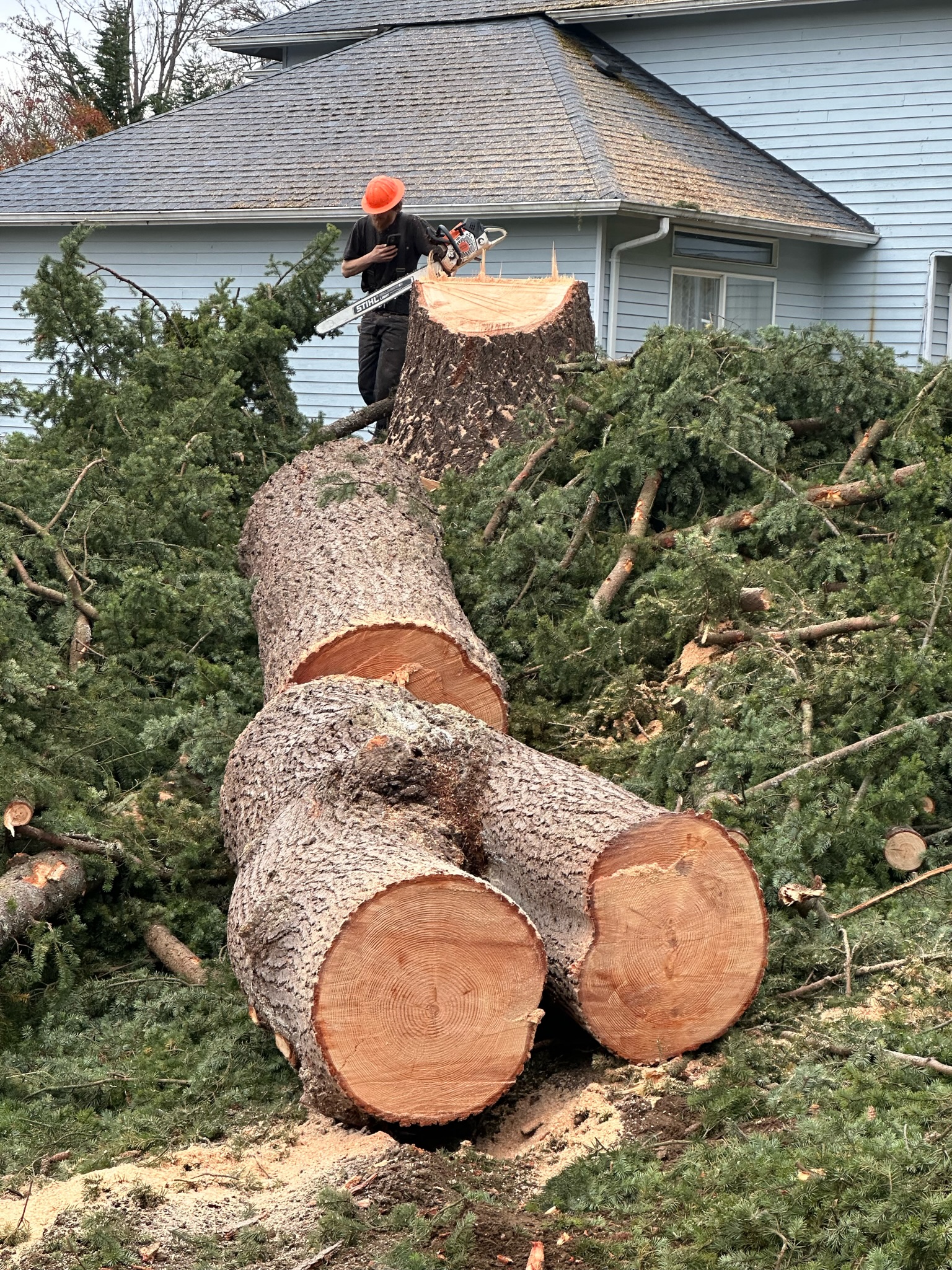 K&J Tree Works tree service in Gold Bar, WA