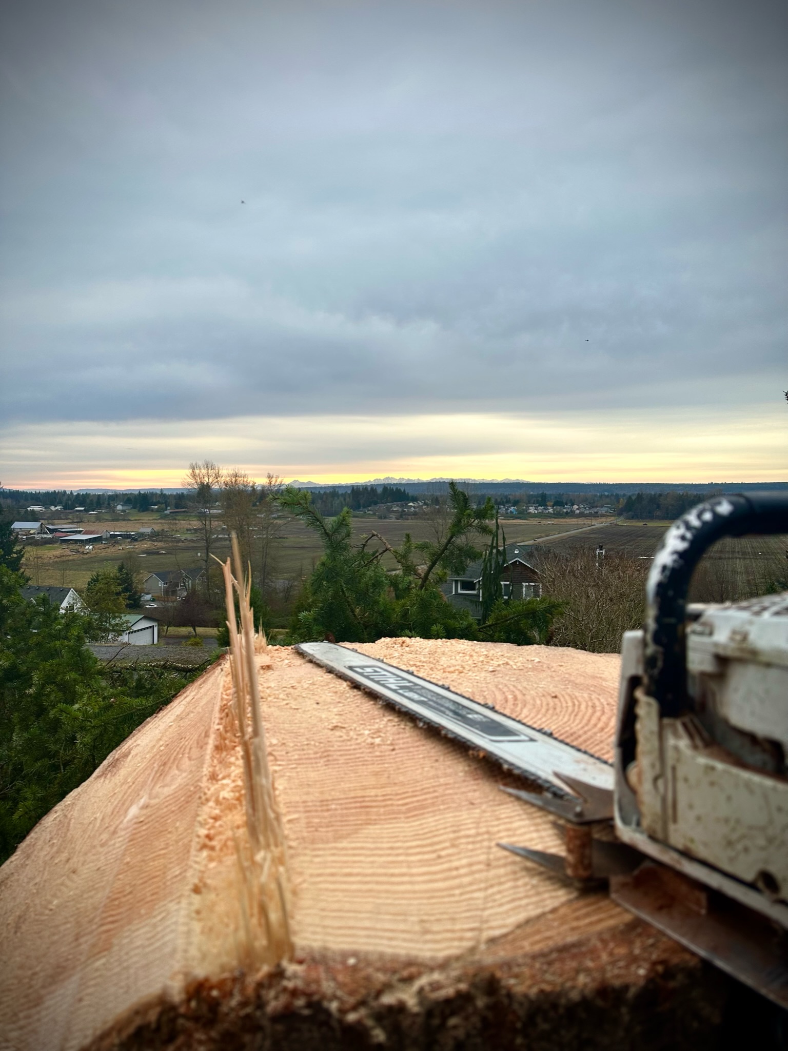 K&J Tree Works tree service in Stanwood, WA