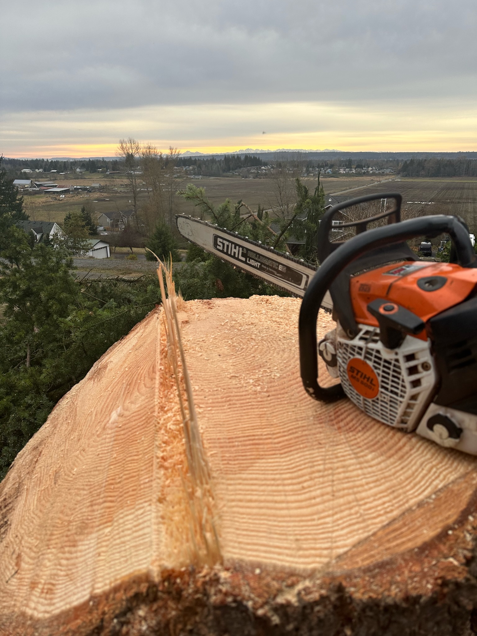 K&J Tree Works tree service in Darrington, WA