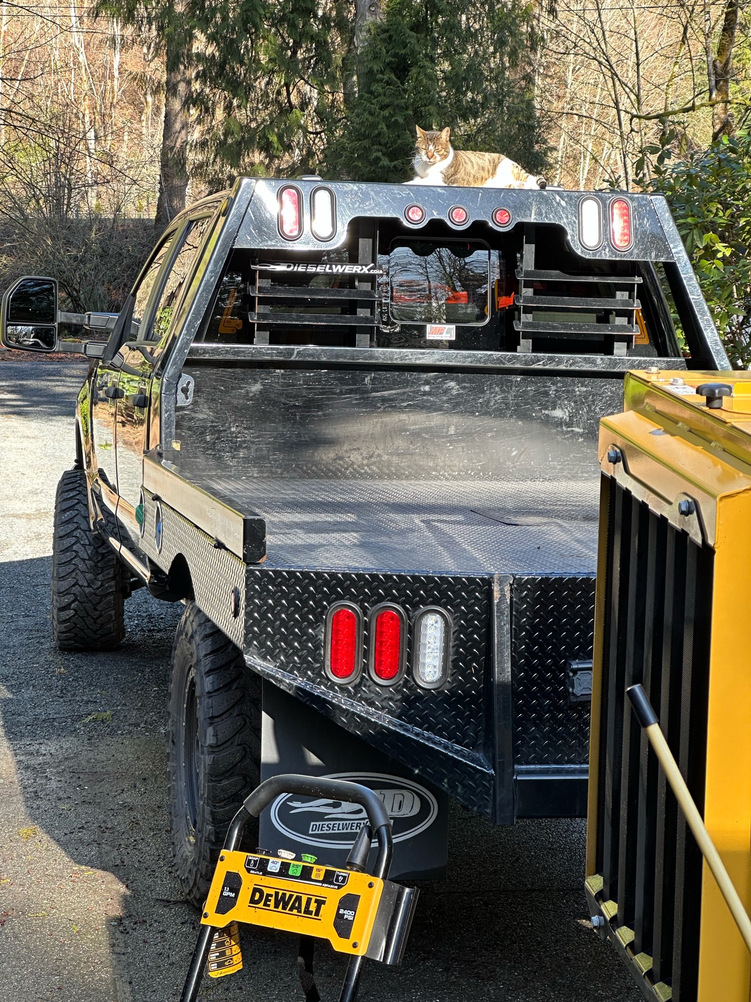 K&J Tree Works tree service in Mukilteo, WA