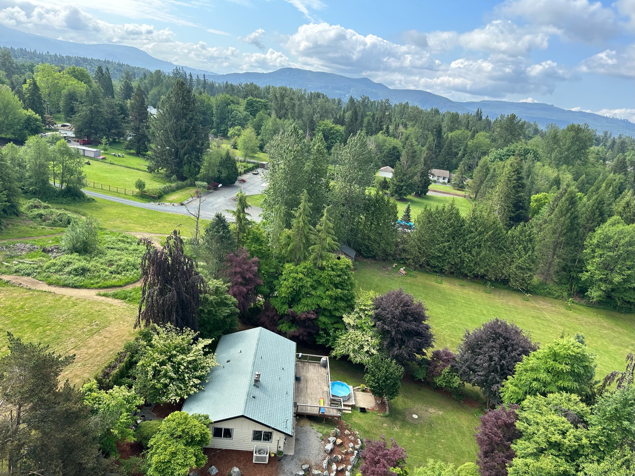 Managing Old-Growth Conifers on Remote Darrington Properties - Tree service in Darrington, WA