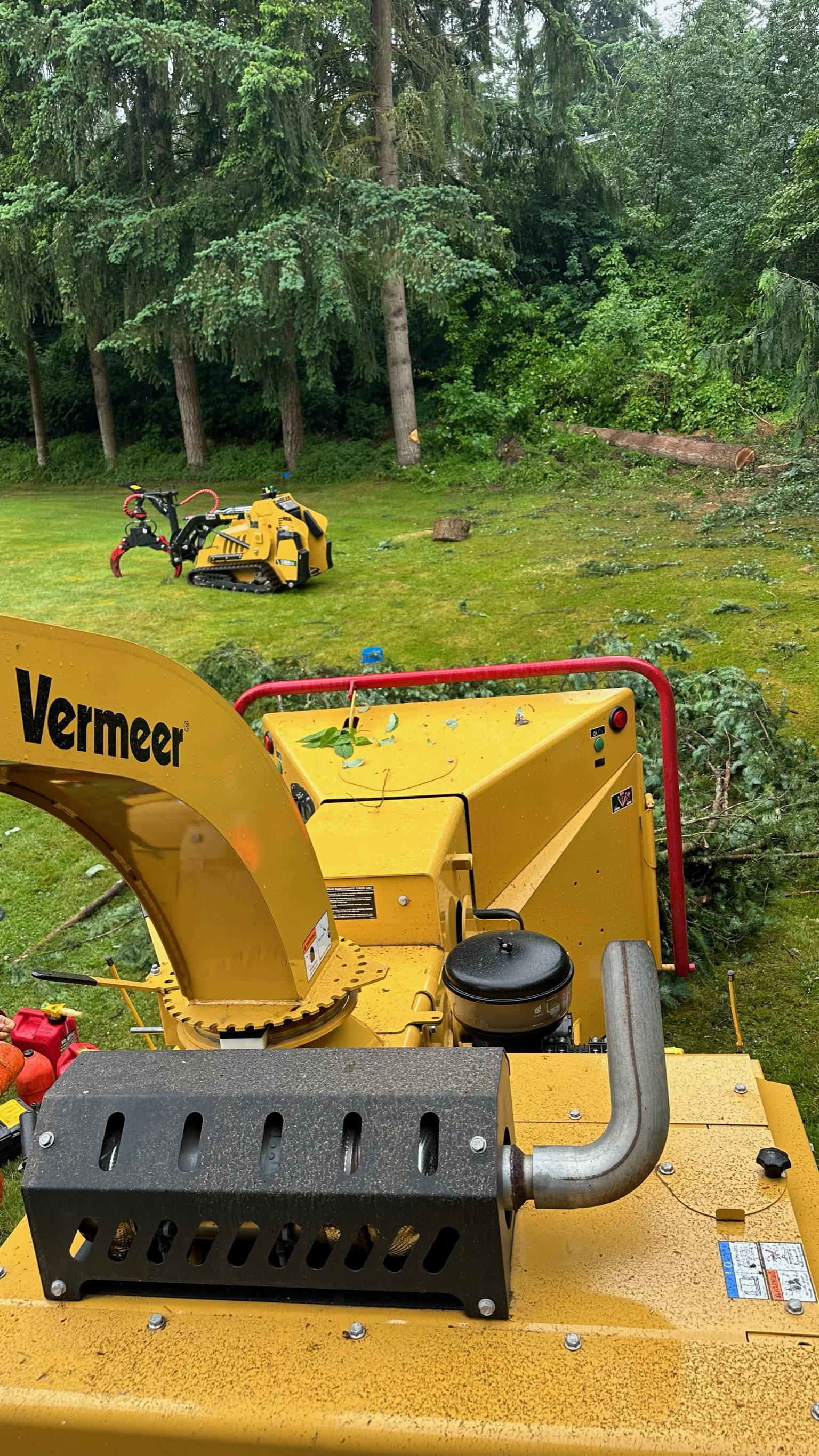 K&J Tree Works tree service in Redmond, WA