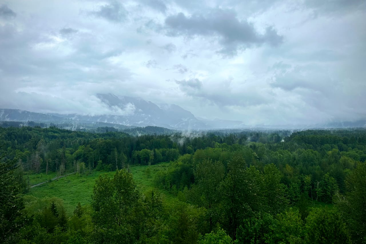 Cascade foothills and forested canopy in Snohomish County, Washington — K&J Tree Works service area