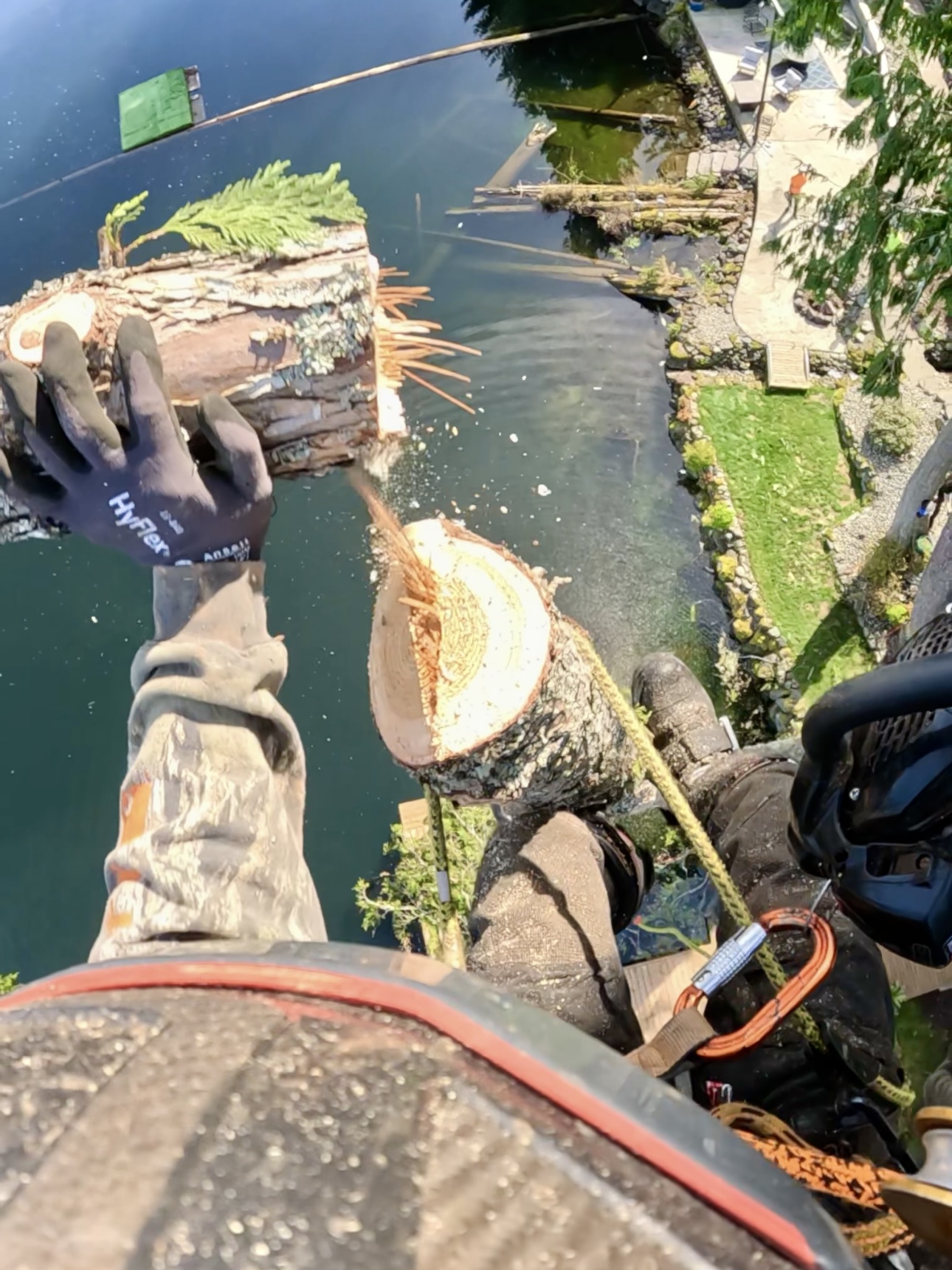 Tree Removal over Lake Roesiger, Snohomish County