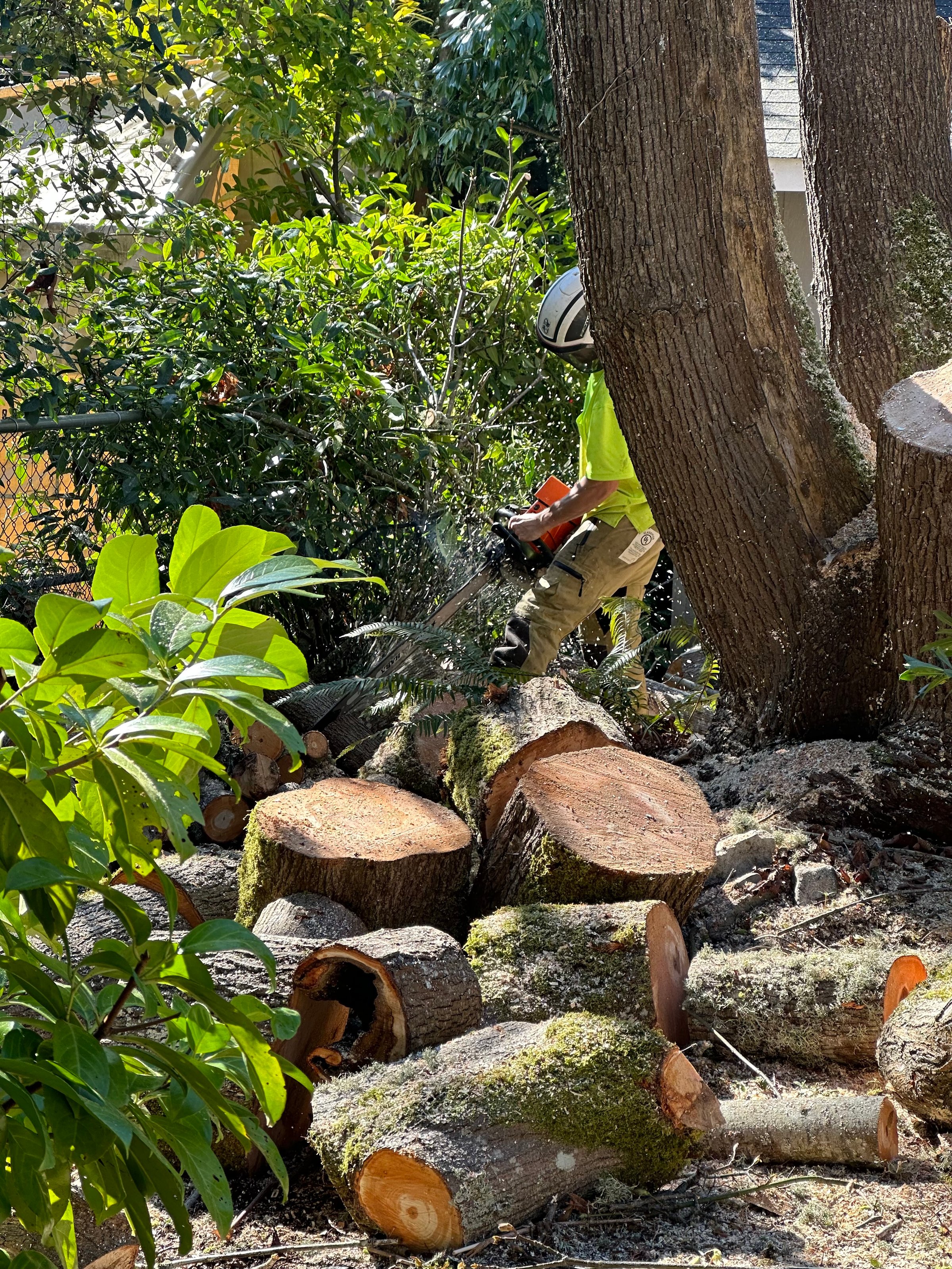 K&J Tree Works tree service in Woodinville, WA