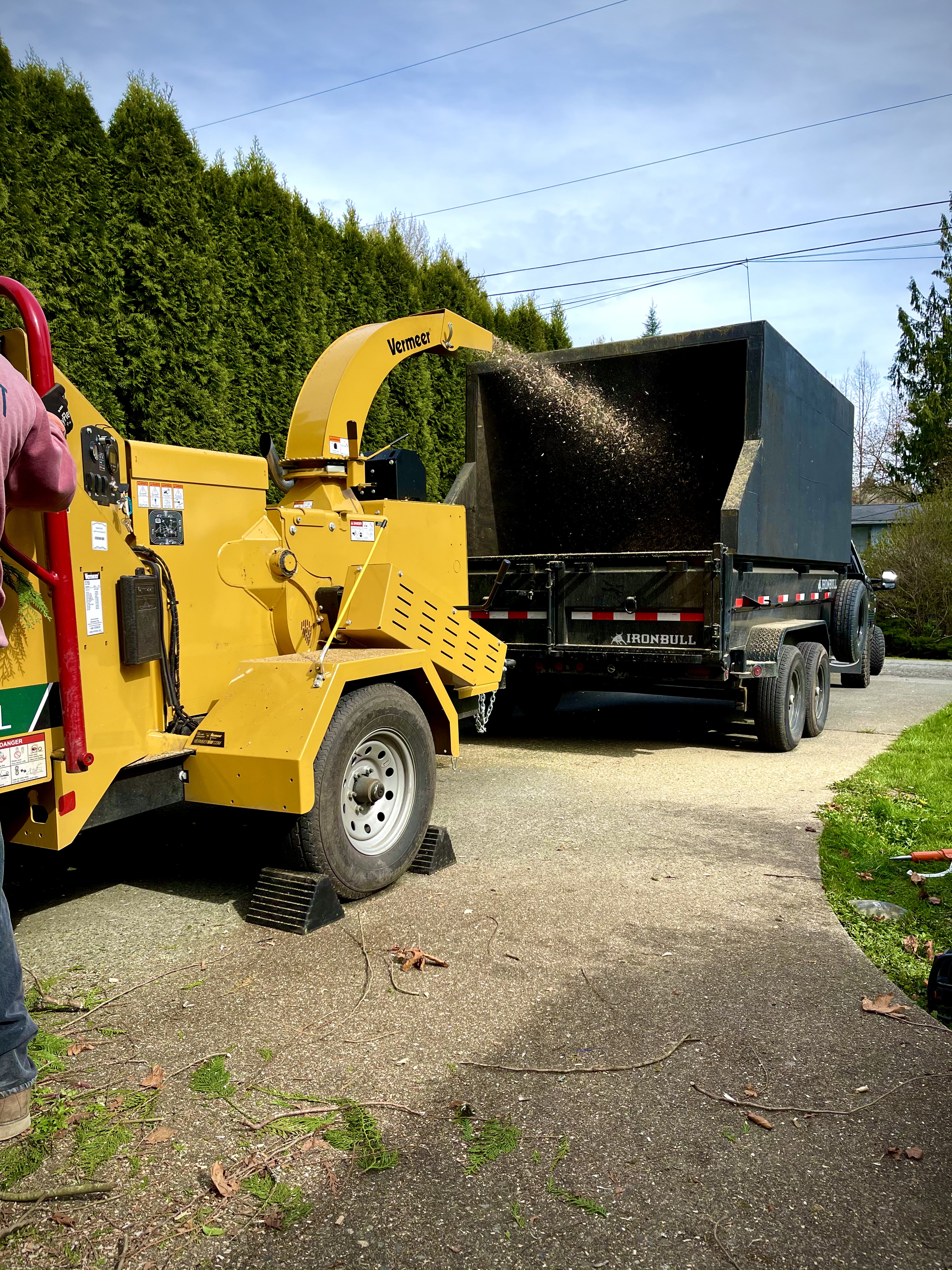 Wood Chipping and Debris Removal in Mill Creek