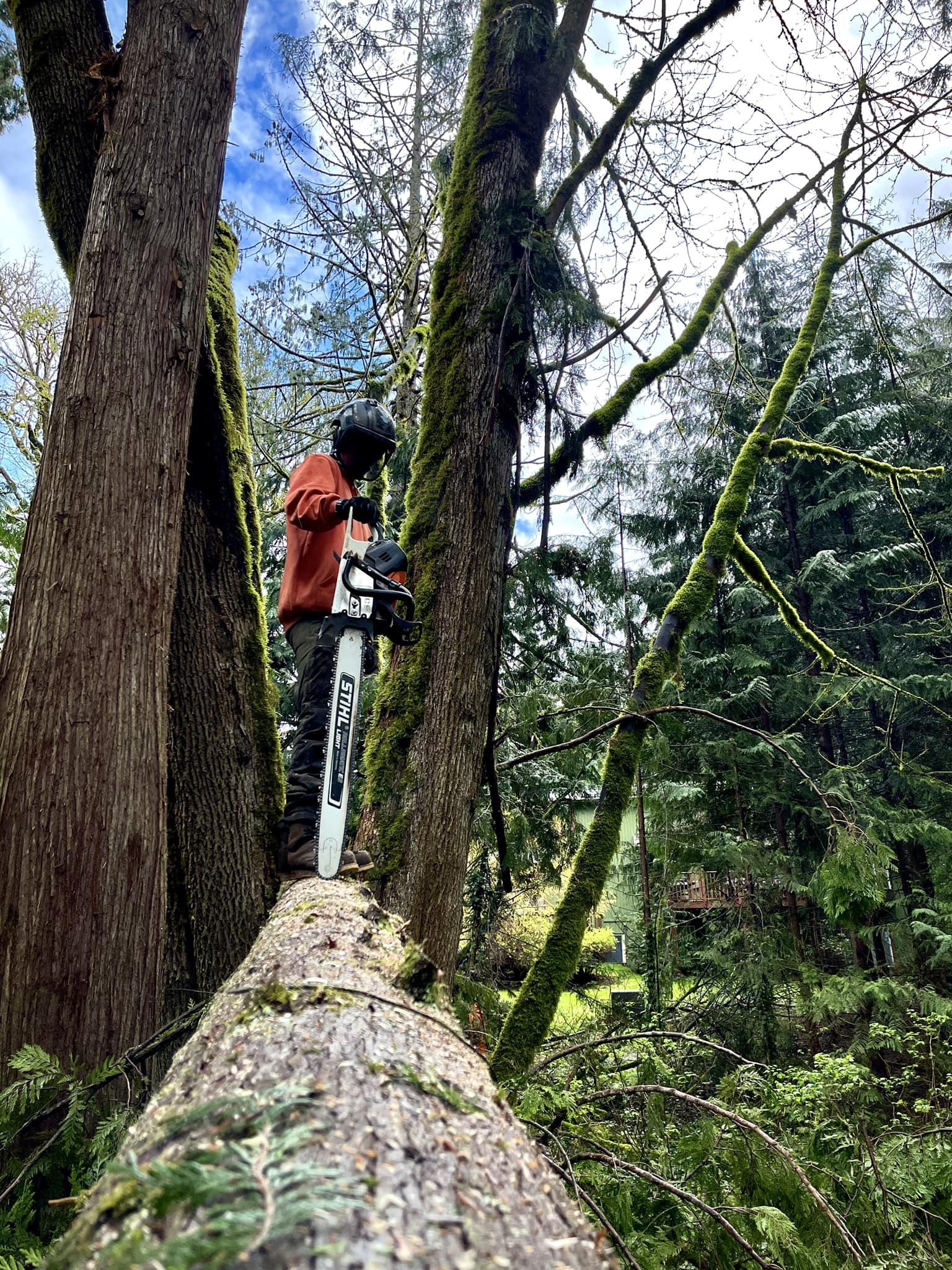 Storm Damage Cleanup in Snohomish
