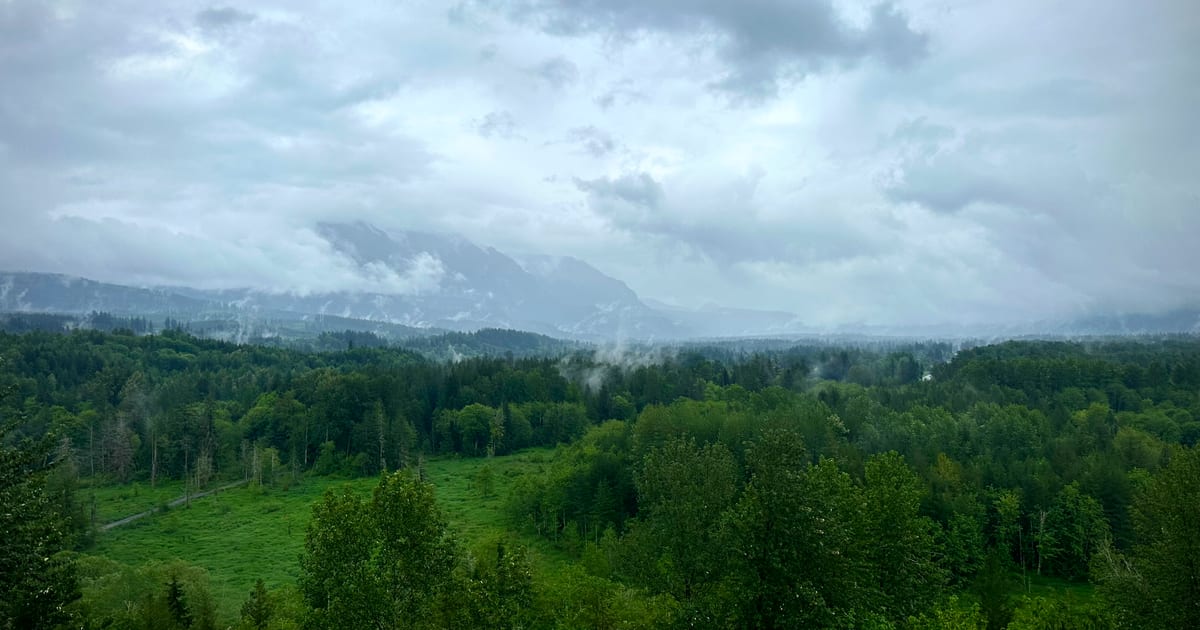 K&J Tree Works | Tree Service Snohomish & King County, WA